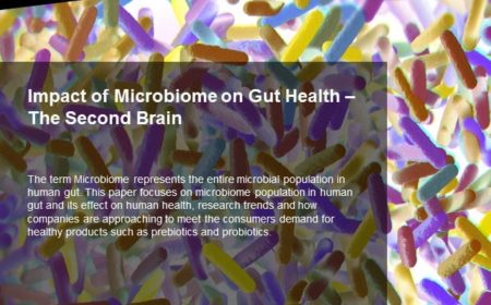 Impact of Microbiome on Gut Health – The Second Brain