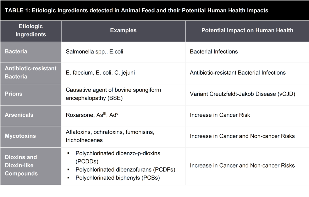 Animal Feed and Nutrition: Impact on Human Health - FutureBridge