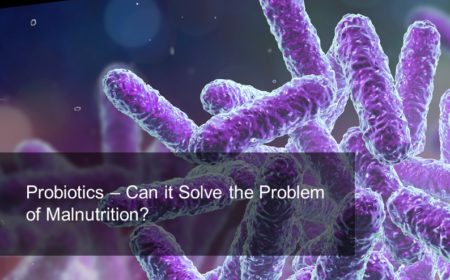 Probiotics – Can it solve the problem of malnutrition?