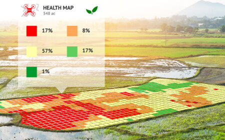 Geo-monitoring Tools to Improve Nutrition