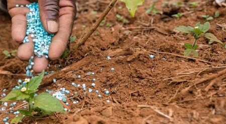 Nano Fertilizer for Sustainable Agriculture