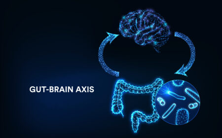 Delving into Consumer Awareness of the Gut-Brain Axis and Nutritional Solutions