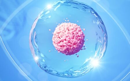 The Potential of Cell  and Gene Therapy In Incontinence Management