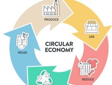 Analyzing Circular Economy Innovations across Packaging, Devices, and Process Landscapes